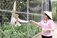 Desarrollan productos para atraer turistas al Parque Nacional U Minh Thuong