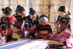 Apoyan formación profesional para personas mayores en preparación del envejecimiento poblacional