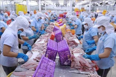 BAD prevé un crecimiento económico de Vietnam del 6% en 2024
