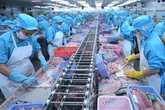 ASEAN superará a UE como mayor receptor de pangasius vietnamita