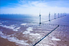 Promueven transición a energía verde en Vietnam