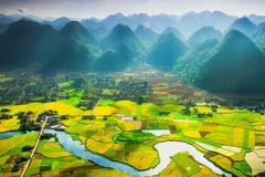 Vietnam tiene casi 1,2 millones de hectáreas de tierra baldía