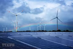 Región del Sudeste de Vietnam opta por economía verde