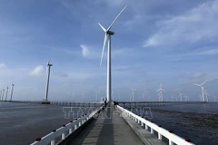 Planificación energética VIII de Vietnam y su meta de emisiones netas cero