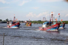 Vietnam mejora gestión del espacio marino para eliminar "tarjeta amarilla"