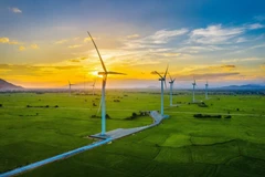 Economía verde, clave para el desarrollo sostenible en Vietnam