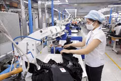 Prevén recuperación del crecimiento en Vietnam gracias a reducción de impuestos