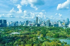 Aumentan ingresos de industria maderera de Vietnam a partir de créditos de carbono