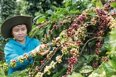 Productos vietnamitas podrán alcanzar metas de exportación para fines de 2022