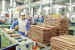 Procesamiento de madera de Gia Lai busca firmeza en mercado europeo