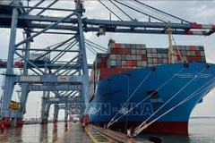 Vietnam busca desarrollar flota de transporte marítimo internacional 