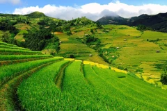 [Video] Mu Cang Chai, atractivo destino turístico en el mundo en 2020