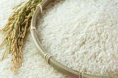 Mejora la calidad del arroz vietnamita en el mercado mundial 
