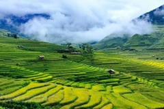 Hermosos lugares por descubrir en Mu Cang Chai de Vietnam