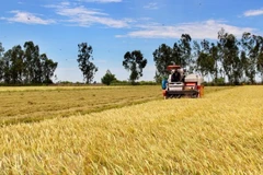 Flexibilidad y adaptabilidad deciden éxito del sector agrícola de Vietnam en 2021