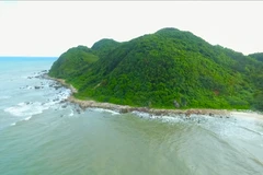 Quan Lan: gema verde en medio de la bahía de Bai Tu Long 