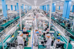 Aprueban la Estrategia para el desarrollo de la ciencia, tecnología e innovación hasta 2030