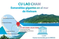[Info] Cu Lao Cham, esmeraldas gigantes en el mar de Vietnam