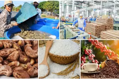 Exportaciones agroforestales-pesqueras de Vietnam cosechan varios récords en 2022