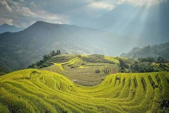Booking.com revela mejores opciones para viajeros vietnamitas en 2024