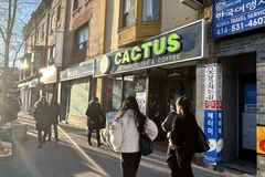La tienda de Cactus en Toronto. (Fuente: VNA)