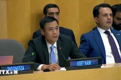 El embajador Dang Hoang Giang, representante permanente de Vietnam ante la Organización de Naciones Unidas. (Fuente: VNA)