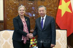 El presidente To Lam recibe a la embajadora de Suecia en Vietnam, Ann Mawe. (Fuente:VNA)
