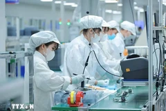 Vietnam impulsa formación de recursos humanos para industria de semiconductores y tecnologías digitales. (Fuente: VNA)