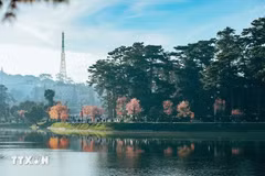 Lago de Xuan Huong en Da Lat. (Fuente:VNA)