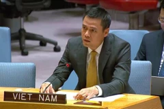 El embajador Dang Hoang Giang, representante permanente vietnamita ante la Organización de Naciones Unidas. (Fuente: VNA)