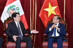 El presidente de Vietnam, Luong Cuong, se reúne con el titular del Congreso de Perú, Eduardo Salhuana. (Fuente: VNA)