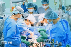 Vietnam lidera el Sudeste Asiático en número de trasplantes de órganos