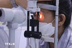 Vietnam eliminó con éxito la enfermedad ocular del tracoma (Fuente: VNA)