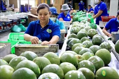 Exportaciones hortofrutícolas y arroceras de Vietnam alcanzarán nuevo récord