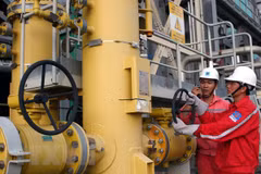Presentan inversores en proyectos eléctricos en provincia vietnamita