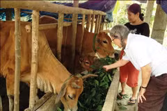 Provincia central vietnamita ayuda a víctimas del Agente Naranja/Dioxina