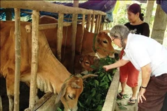 Provincia central vietnamita ayuda a víctimas del Agente Naranja/Dioxina