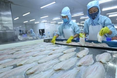 Vietnam podrá ingresar 10 mil millones de dólares de sus exportaciones acuícolas en 2019