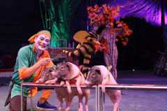 Desarrollan en Vietnam circo con animales domésticos