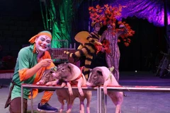 Desarrollan en Vietnam circo con animales domésticos