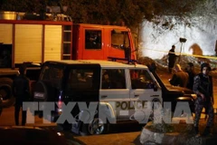 Embajada de Vietnam en Egipto acelera la protección civil