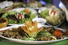 Participa Vietnam en festival solidario en Bélgica