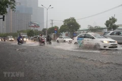 Ciudad Ho Chi Minh estudia plan de inversión para controlar inundaciones