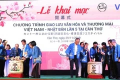 Culmina V Festival de Intercambio Cultural Vietnam-Japón