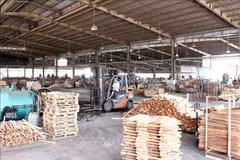 Promoverá TLC con UE el desarrollo sostenible de industria maderera de Vietnam