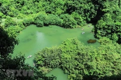 Vietnam se sitúa por primera vez en el top 10 de países favoritos para turistas en 2019
