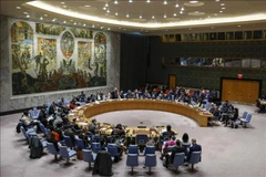 Expresa periodista egipcio confianza en elección de Vietnam al Consejo de Seguridad de la ONU