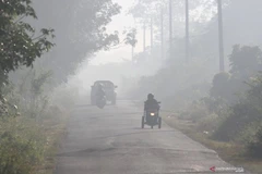 Destruyen incendios forestales en Indonesia más de 30 mil hectáreas de bosque 