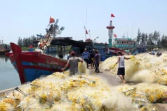Aldea de procesamiento de mariscos de Sa Huynh en Vietnam