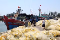 Aldea de procesamiento de mariscos de Sa Huynh en Vietnam